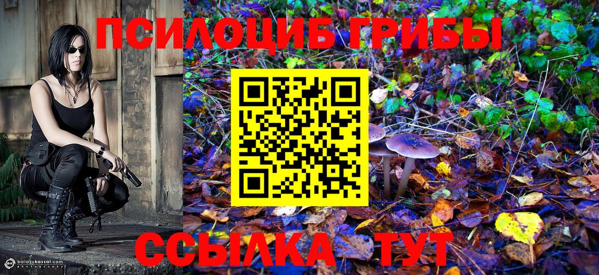 Усть-Илимск  где купить наркоту  Вход с VPN  Псилоцибиновые грибы Cubensis 
